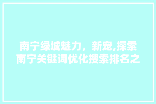 南宁绿城魅力，新宠,探索南宁关键词优化搜索排名之路