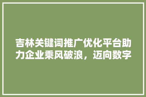 吉林关键词推广优化平台助力企业乘风破浪，迈向数字营销新高峰