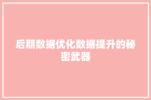 后期数据优化数据提升的秘密武器