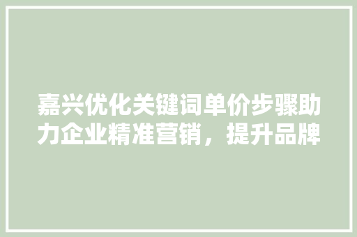 嘉兴优化关键词单价步骤助力企业精准营销，提升品牌影响力