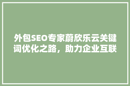 外包SEO专家蔚欣乐云关键词优化之路，助力企业互联网腾飞