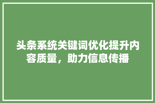 头条系统关键词优化提升内容质量，助力信息传播