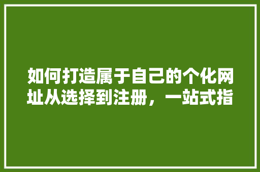 如何打造属于自己的个化网址从选择到注册，一站式指导