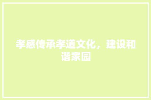孝感传承孝道文化，建设和谐家园