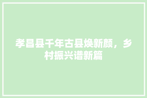 孝昌县千年古县焕新颜，乡村振兴谱新篇