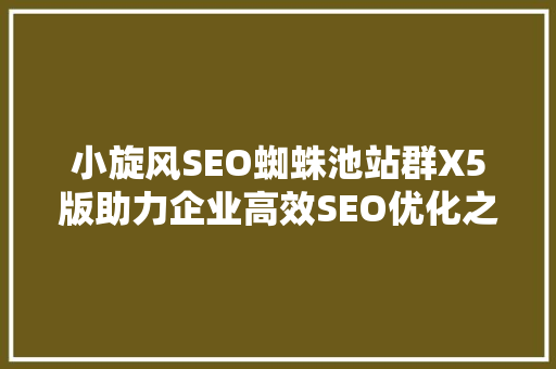 小旋风SEO蜘蛛池站群X5版助力企业高效SEO优化之路