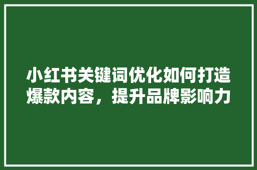 小红书关键词优化如何打造爆款内容，提升品牌影响力