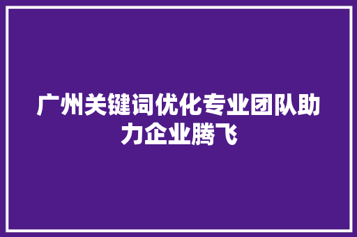 广州关键词优化专业团队助力企业腾飞