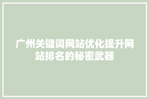 广州关键词网站优化提升网站排名的秘密武器