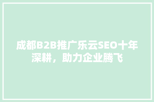 成都B2B推广乐云SEO十年深耕，助力企业腾飞
