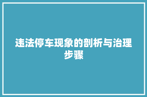 违法停车现象的剖析与治理步骤