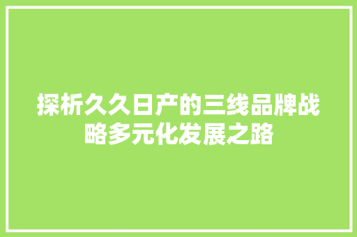 探析久久日产的三线品牌战略多元化发展之路