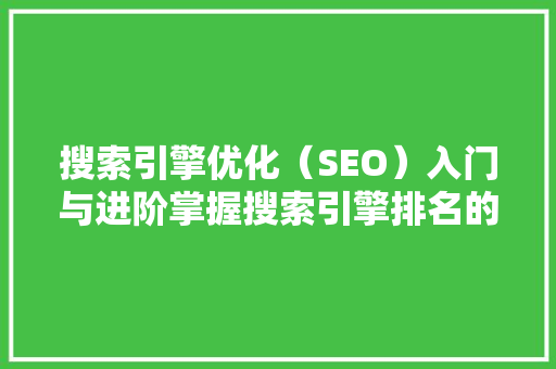 搜索引擎优化（SEO）入门与进阶掌握搜索引擎排名的艺术