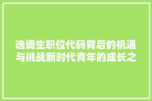 选调生职位代码背后的机遇与挑战新时代青年的成长之路