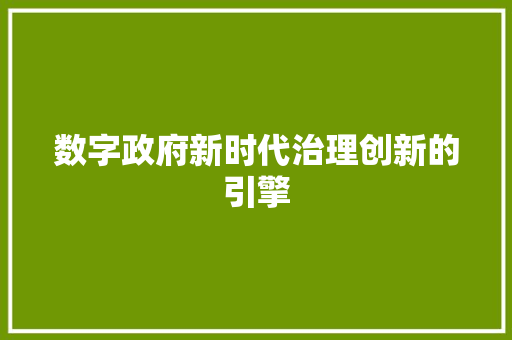 数字政府新时代治理创新的引擎