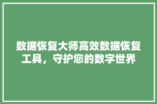 数据恢复大师高效数据恢复工具，守护您的数字世界
