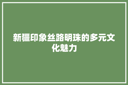 新疆印象丝路明珠的多元文化魅力