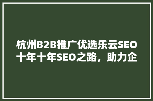 杭州B2B推广优选乐云SEO十年十年SEO之路，助力企业腾飞