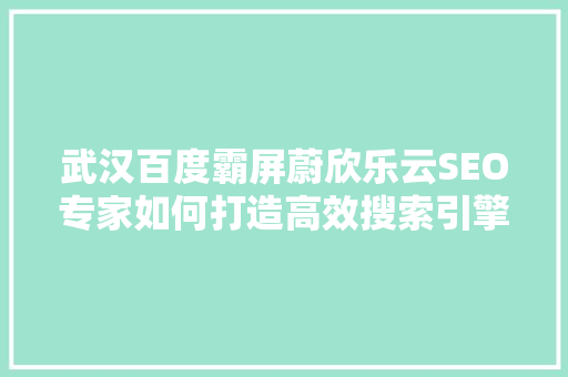 武汉百度霸屏蔚欣乐云SEO专家如何打造高效搜索引擎优化步骤