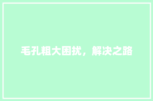 毛孔粗大困扰，解决之路