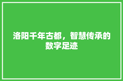 洛阳千年古都，智慧传承的数字足迹