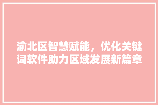 渝北区智慧赋能，优化关键词软件助力区域发展新篇章