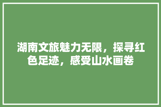湖南文旅魅力无限，探寻红色足迹，感受山水画卷