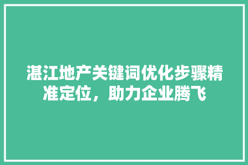 湛江地产关键词优化步骤精准定位，助力企业腾飞