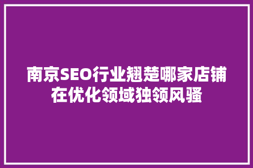 南京SEO行业翘楚哪家店铺在优化领域独领风骚