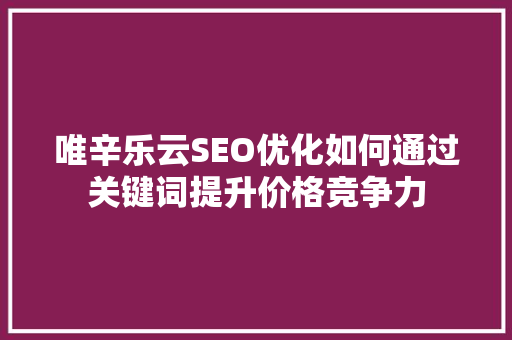 唯辛乐云SEO优化如何通过关键词提升价格竞争力
