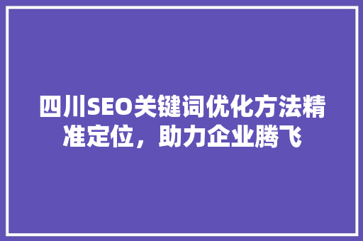 四川SEO关键词优化方法精准定位，助力企业腾飞