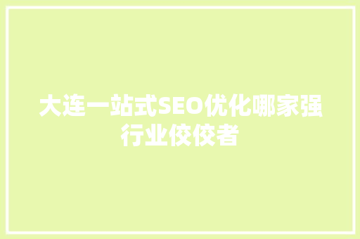 大连一站式SEO优化哪家强行业佼佼者