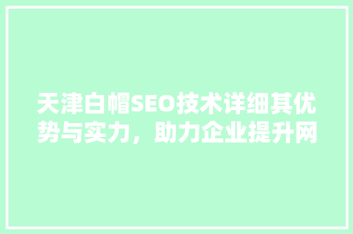 天津白帽SEO技术详细其优势与实力，助力企业提升网络竞争力
