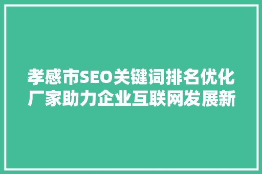 孝感市SEO关键词排名优化厂家助力企业互联网发展新篇章