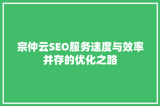 宗仲云SEO服务速度与效率并存的优化之路