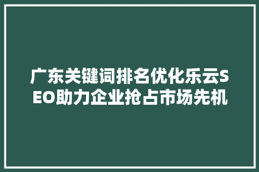 广东关键词排名优化乐云SEO助力企业抢占市场先机