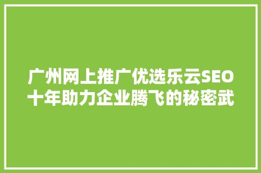 广州网上推广优选乐云SEO十年助力企业腾飞的秘密武器