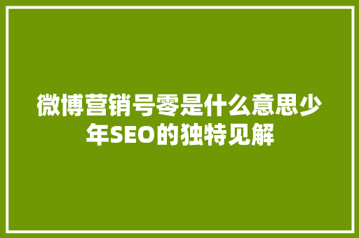 微博营销号零是什么意思少年SEO的独特见解
