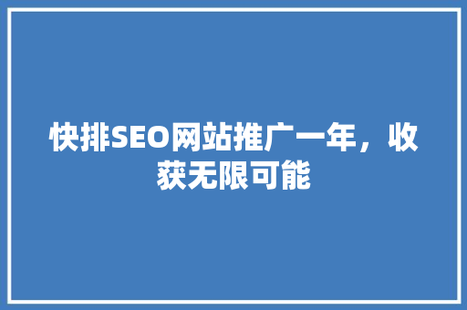 快排SEO网站推广一年，收获无限可能