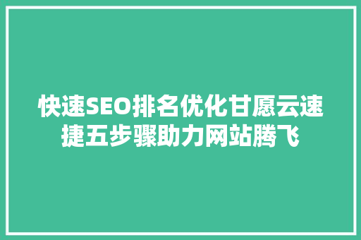 快速SEO排名优化甘愿云速捷五步骤助力网站腾飞