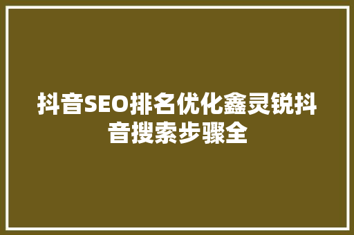 抖音SEO排名优化鑫灵锐抖音搜索步骤全