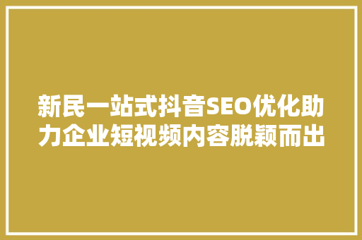 新民一站式抖音SEO优化助力企业短视频内容脱颖而出