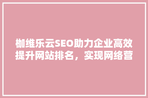 枷维乐云SEO助力企业高效提升网站排名，实现网络营销新突破