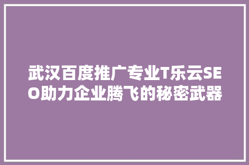 武汉百度推广专业T乐云SEO助力企业腾飞的秘密武器