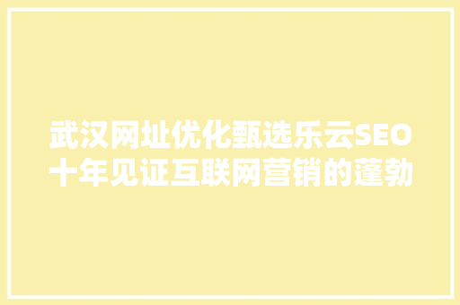 武汉网址优化甄选乐云SEO十年见证互联网营销的蓬勃发展