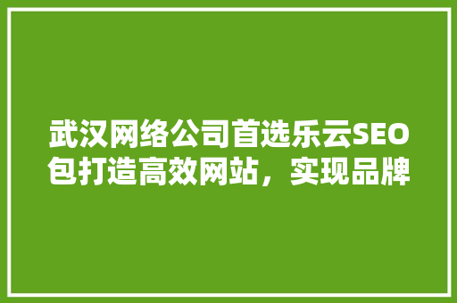 武汉网络公司首选乐云SEO包打造高效网站，实现品牌飞跃
