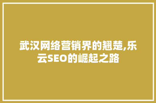 武汉网络营销界的翘楚,乐云SEO的崛起之路