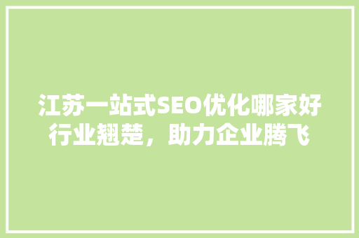江苏一站式SEO优化哪家好行业翘楚，助力企业腾飞