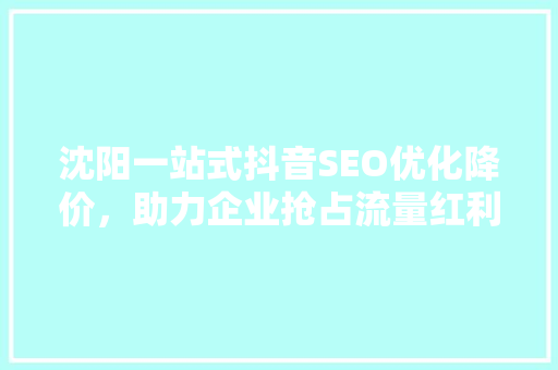 沈阳一站式抖音SEO优化降价，助力企业抢占流量红利