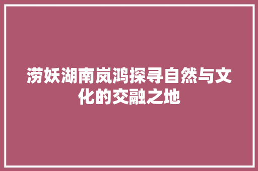涝妖湖南岚鸿探寻自然与文化的交融之地